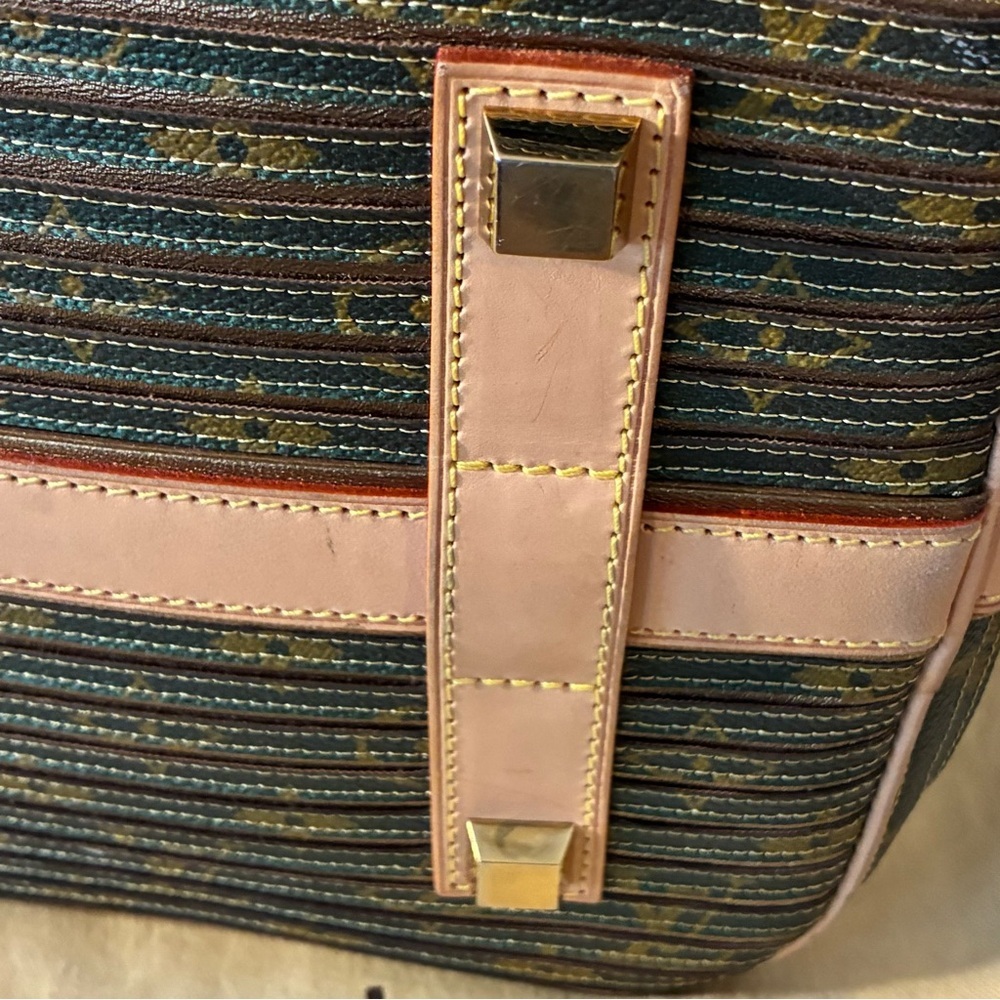 Louis Vuitton LIMITED EDITION Eden Neo Bucket Bag - Picture 13 of 16